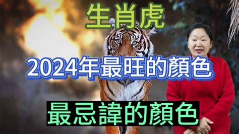 生肖虎幸運色|【屬虎的幸運顏色】屬虎者2024開運大法！幸運色、幸運數字，。